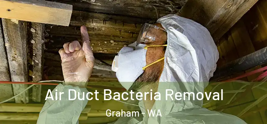  Air Duct Bacteria Removal Graham - WA