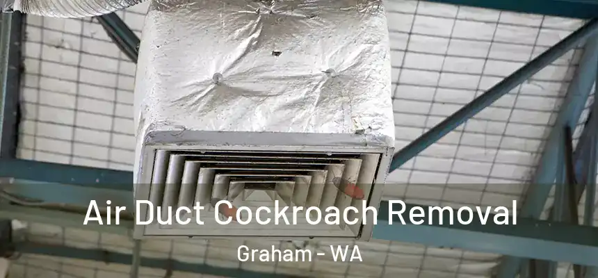  Air Duct Cockroach Removal Graham - WA