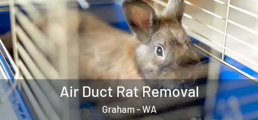  Air Duct Rat Removal Graham - WA