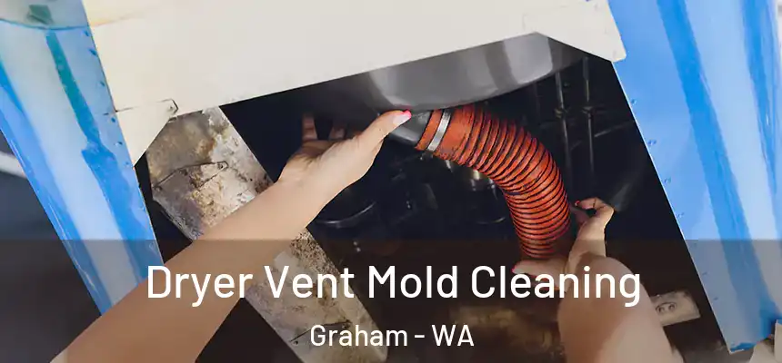 Dryer Vent Mold Cleaning Graham - WA
