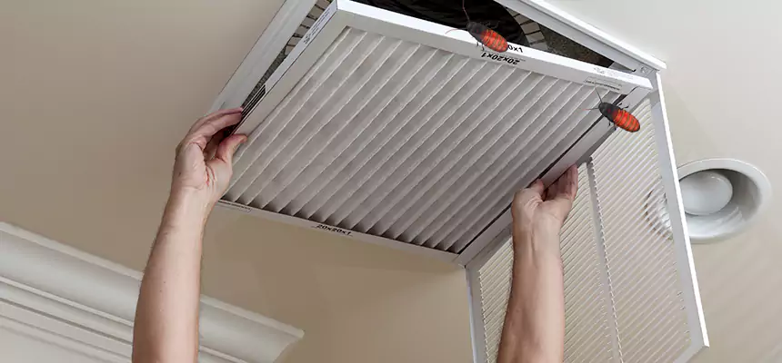 Preventive Cockroach-Proofing for Ducts in Graham