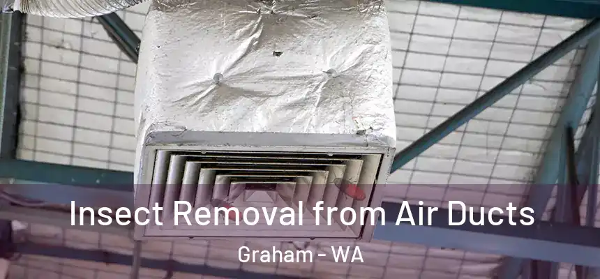 Insect Removal from Air Ducts Graham - WA