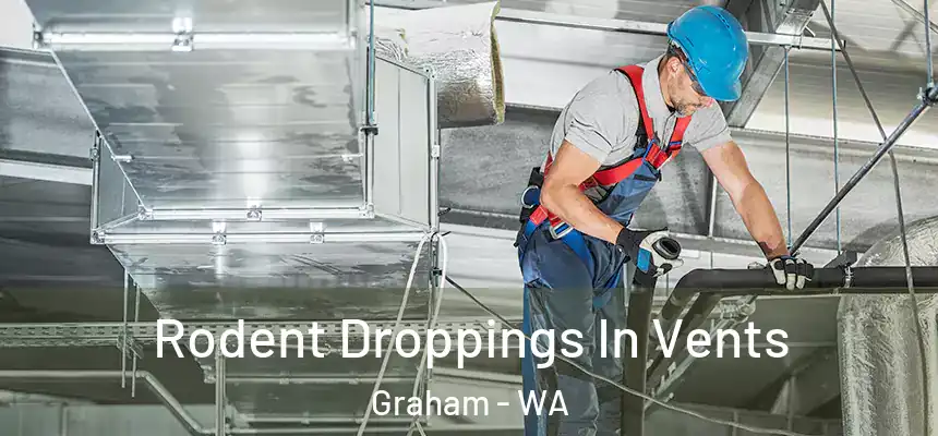 Rodent Droppings In Vents Graham - WA