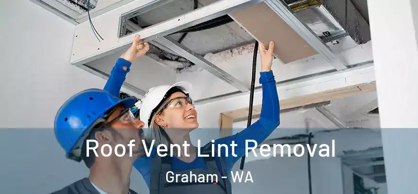 Roof Vent Lint Removal Graham - WA