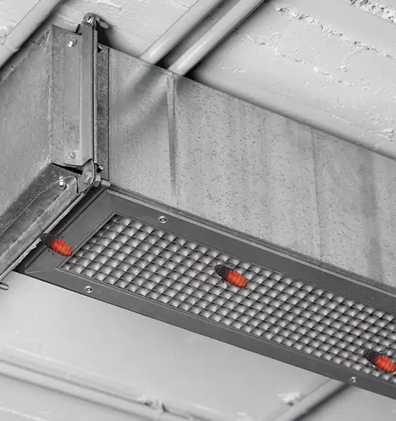 About Air Duct Cockroach Removal in Graham, WA