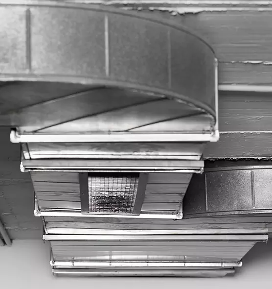 Professional Air Duct Pet Hair Removal in Graham, WA