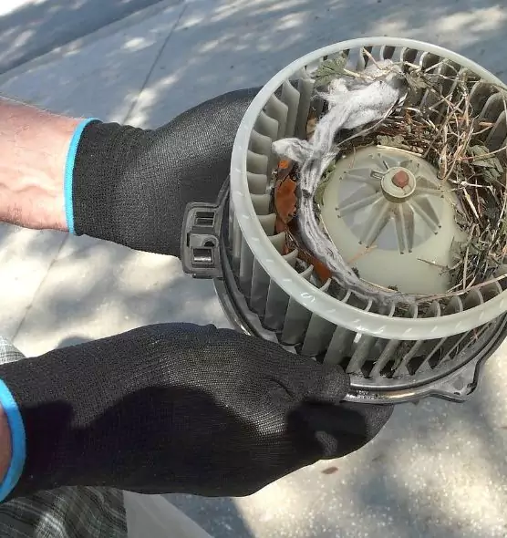 About Air Duct Rat Removal in Graham, WA