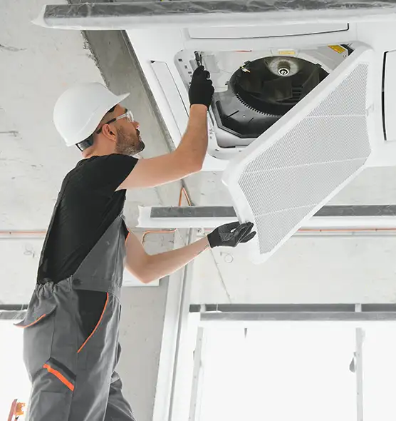 About Air Duct Rodent Removal in Graham, WA