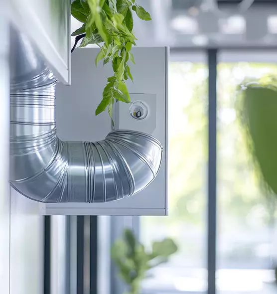 Professional Eco-Friendly Duct Cleaning Services in Graham, WA