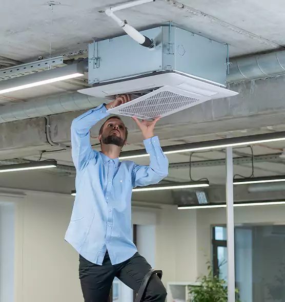 Advanced Rodent Droppings In Vents in Graham, WA