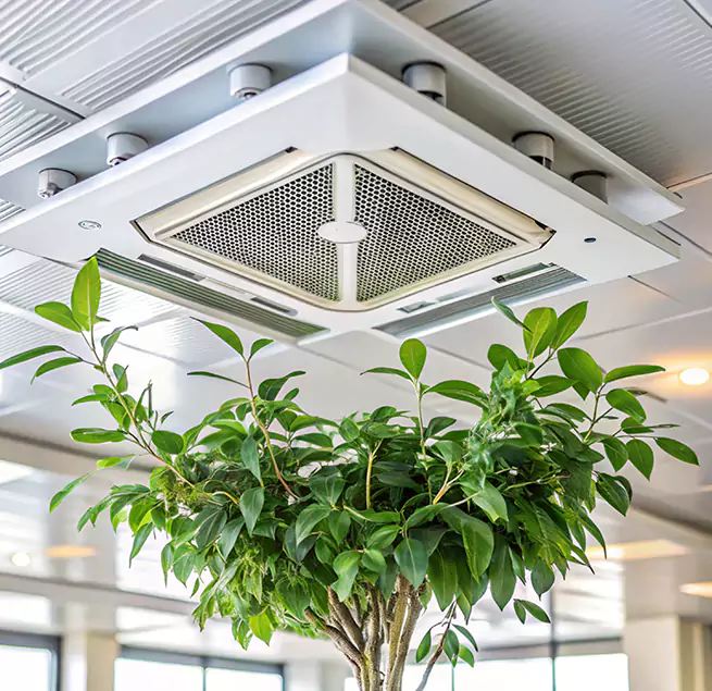 Why Homeowners & Businesses Trust Us in Graham, WA