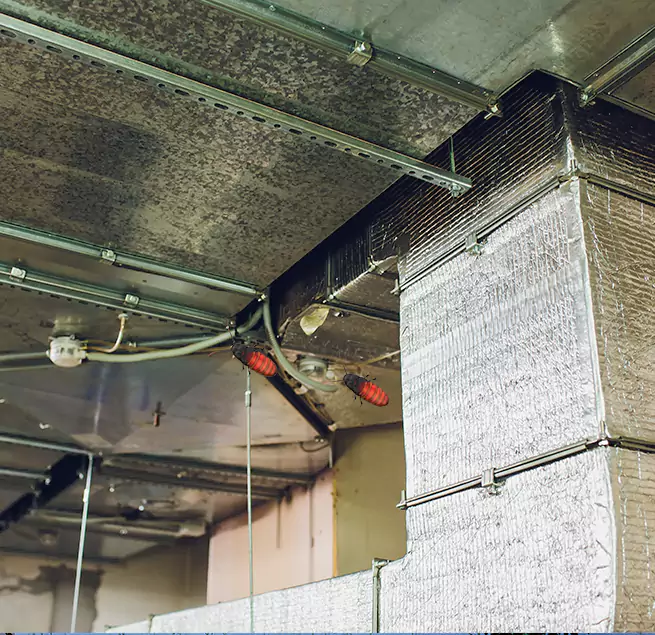 Why Homeowners & Businesses Trust Us Graham, WA?